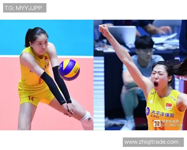 广州排球队实力深度解析与对手对比分析